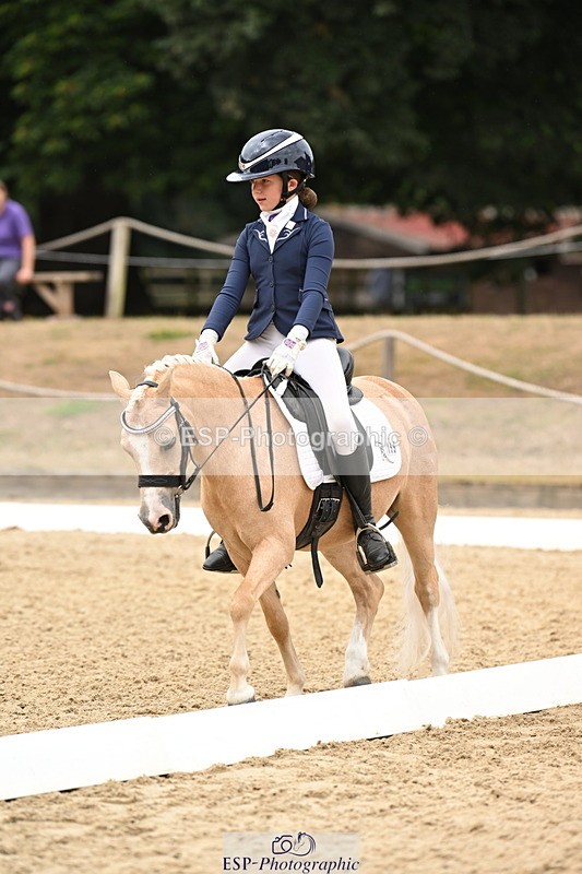 250808A-114224-00677 - 155-Rose.Cassapi-Westfirle.Golden.Oriole