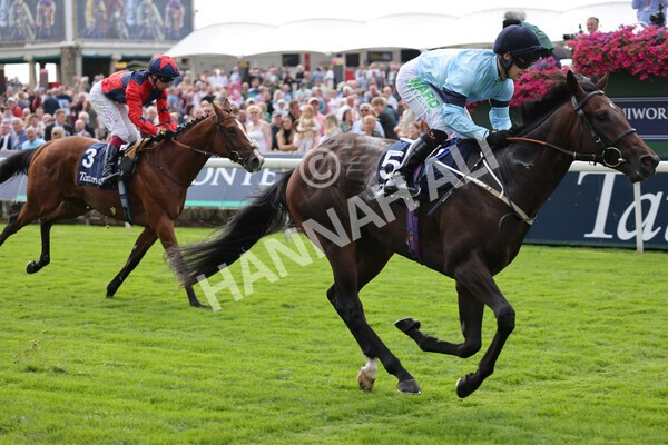 yr18082021r2-21 - Race 2 2.25pm Tattersalls Acomb Stakes