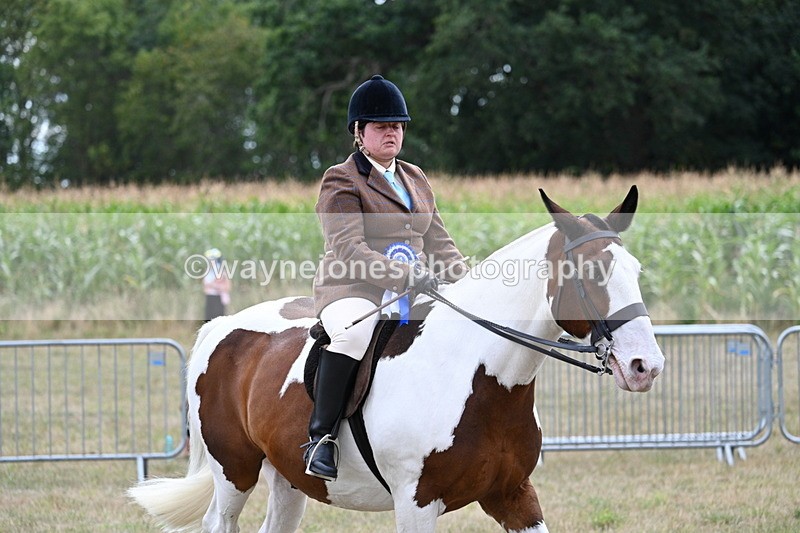 WJ7_5683 - Class 12 Ridden Cob