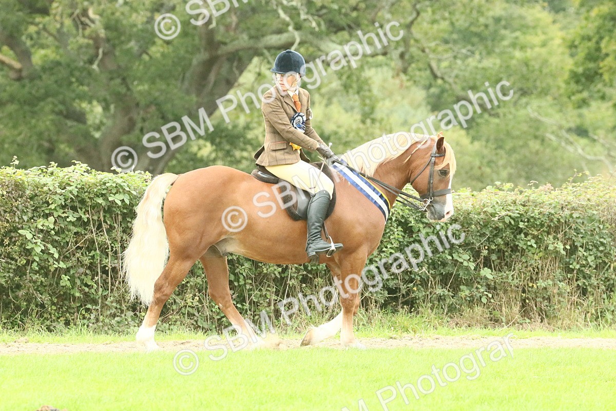 SBM_75138 - Super Supreme Championship