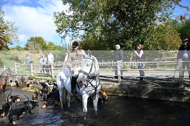 WJ7_5995 - Hounds Water Crossing