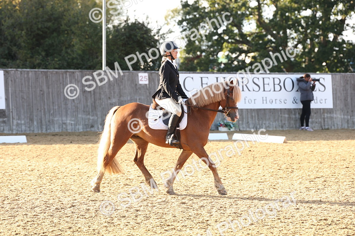 SBM_52836 - D12 - Small Tour Championship prelim 2