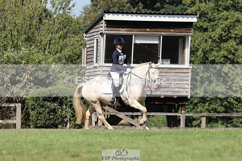 250823A-110632-27868 - Arena D