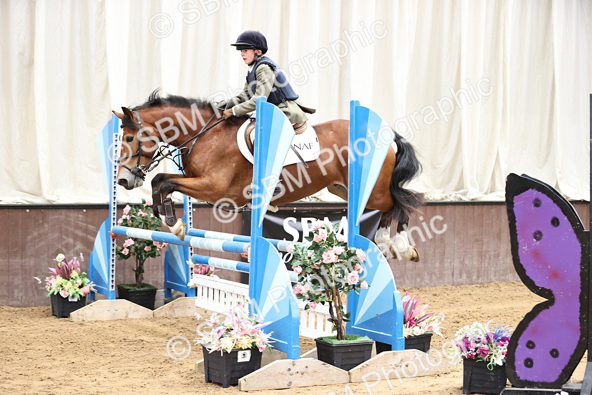 SBM_002387 - Class 11 - Pony Discovery - 90cm Open