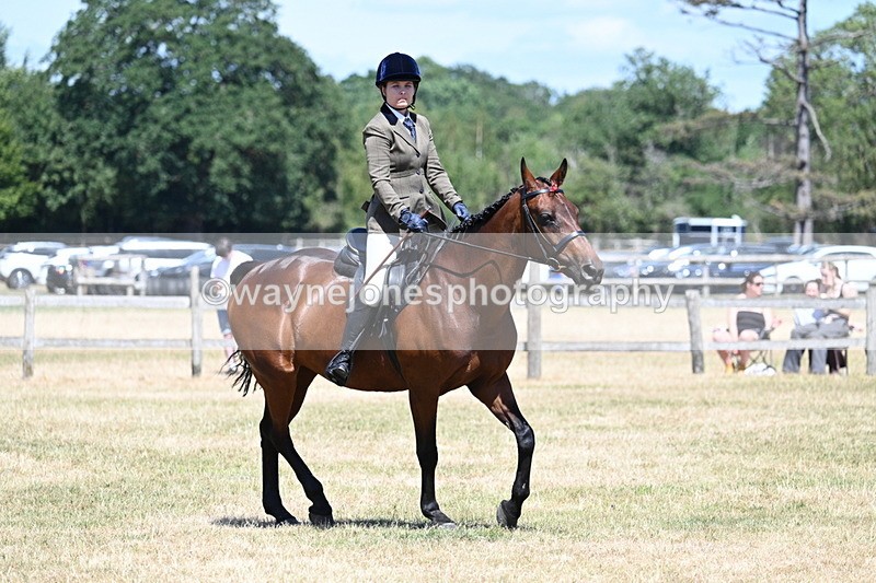 WJ7_3053 - Class 7 Riding Club Show Horse