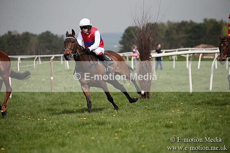 PtP 210418 18 - South & West Wilts Point-to-Point Larkhill 21/04/18
