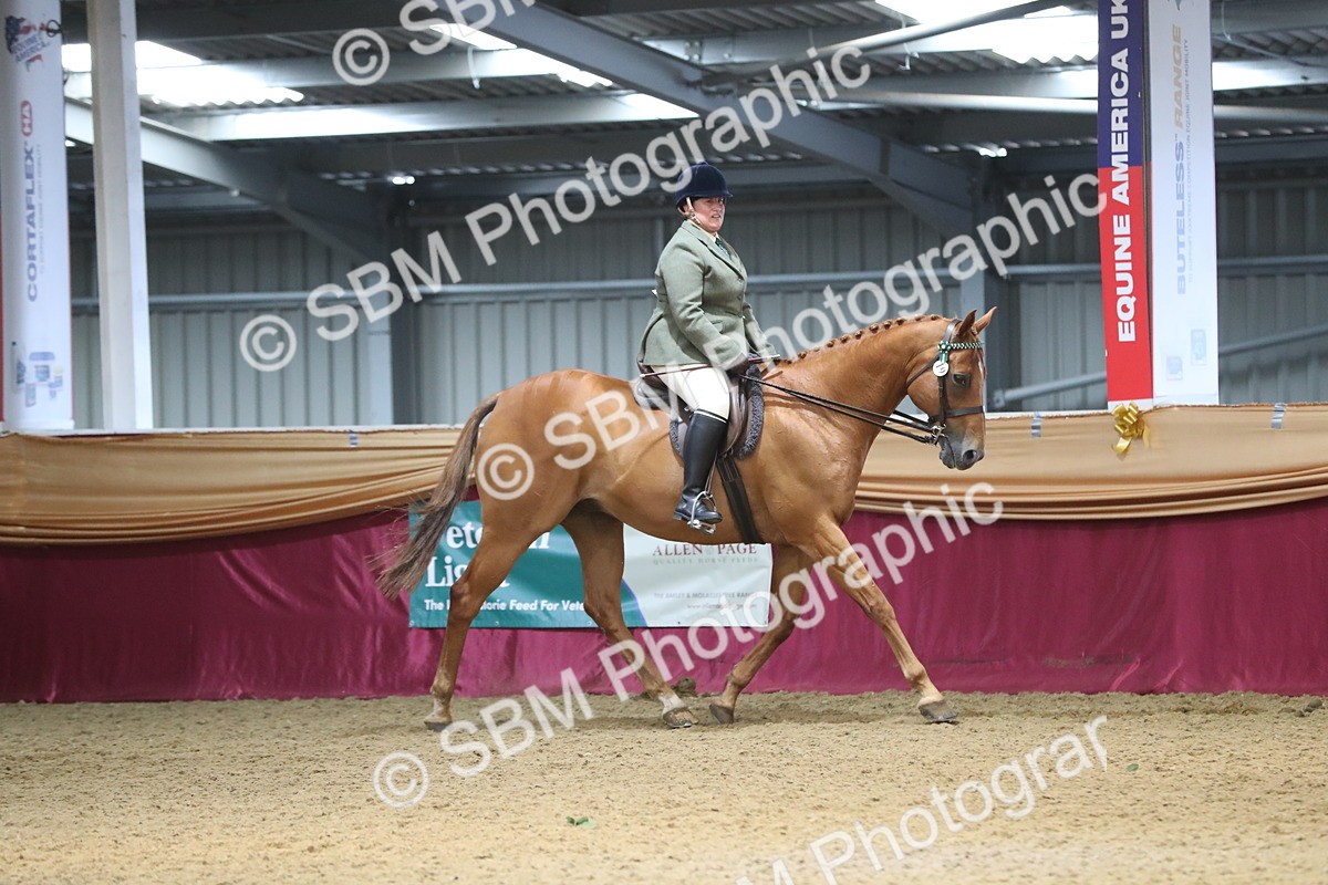 SBM_12366 - Class 108 Ridden Retired Racehorse- Pre Judging
