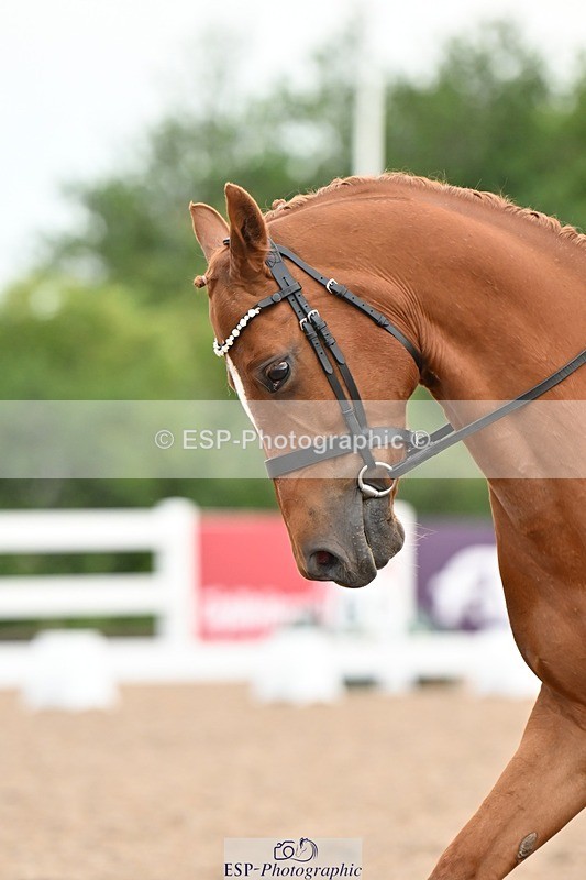 250620-090616-01480 - BD Cls 2 - Preliminary 6, Start to 9.50am