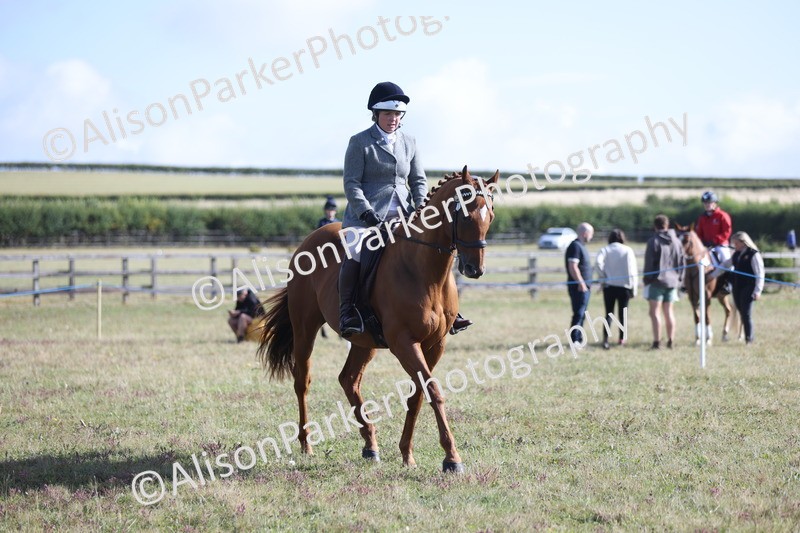 20250831-0891 - Class 14 - Ex Racehorse