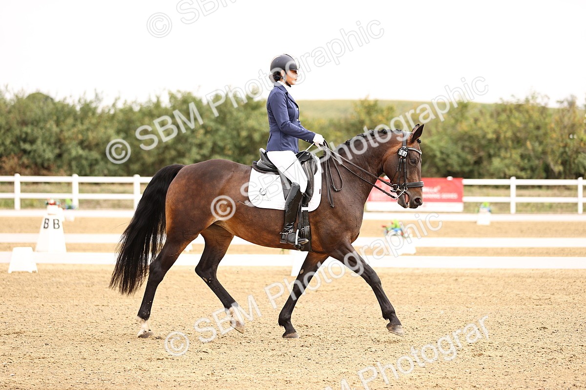 SBM_011597 - Class 1 - Medium 5