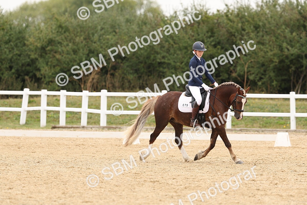 SBM_01048 - Class 8 - Novice 27 Champs