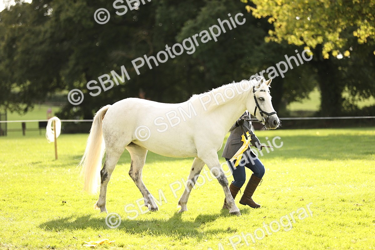 SBM_26318 - S5 - Novice & Newcomers In Hand