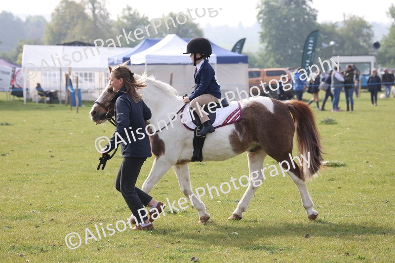 20260426-0329 - Class 30 - Tiny Tots Lead Rein