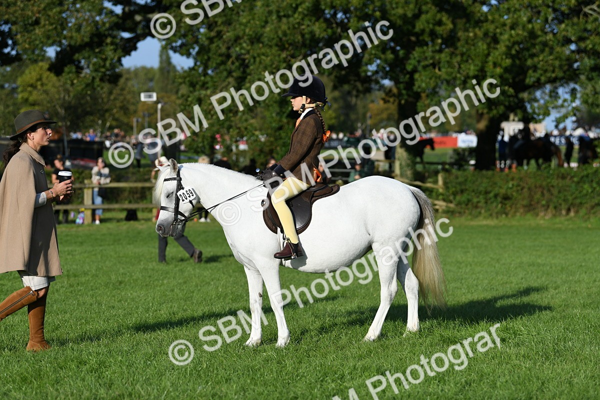 SBM_54045 - S23 - 1st Ridden Mountain & Moorland Pony