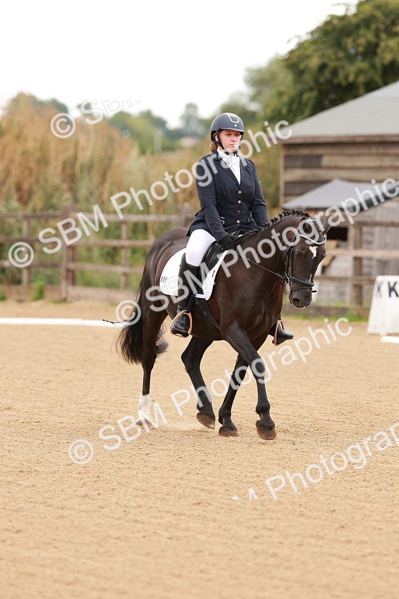 SBM_001037 - Intro 2