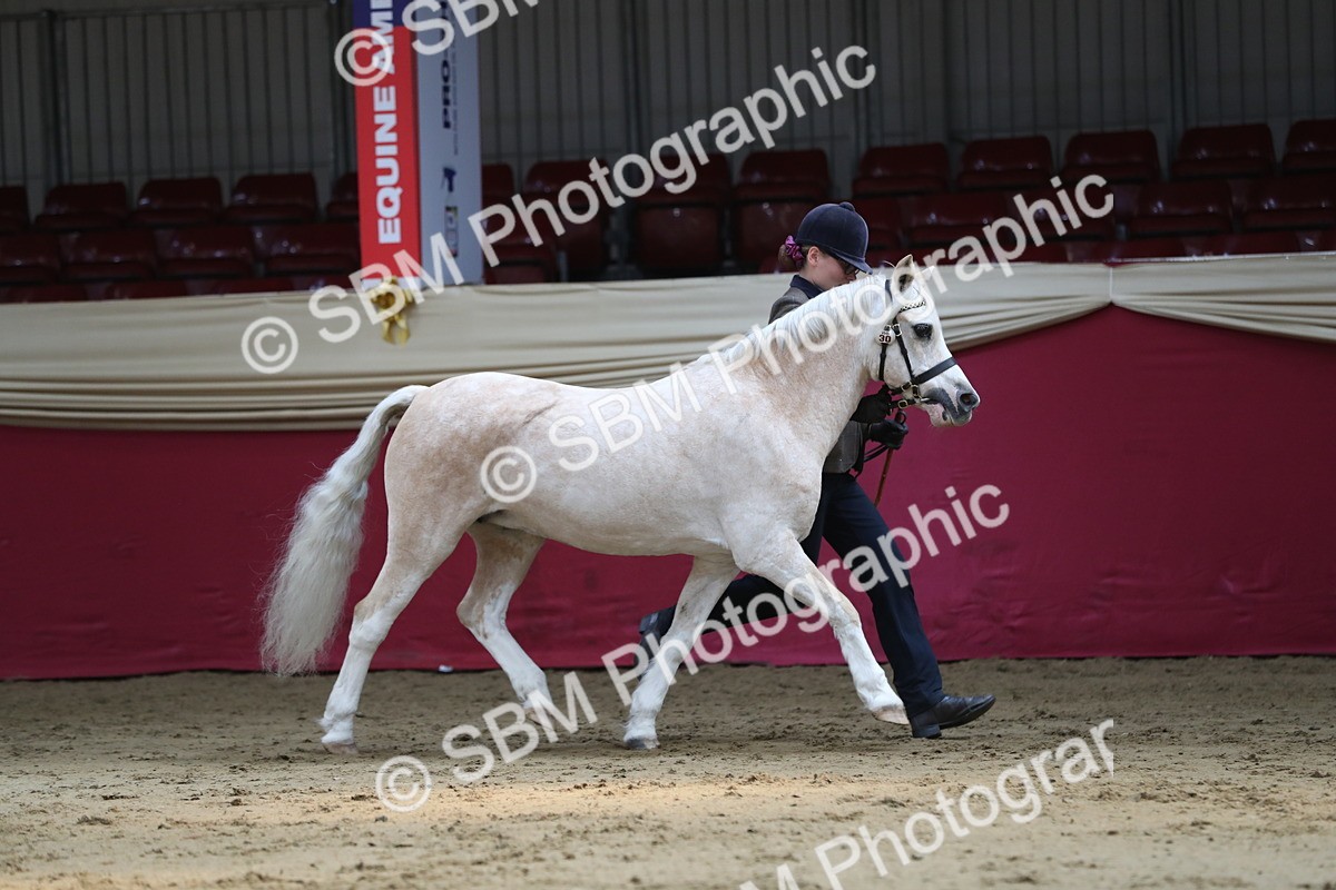 SBM_04328 - Class 7R Regional - IH Diamond