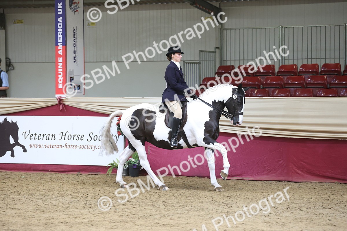 SBM_23720 - class 906 - Supreme Final - Ridden Pre Vet