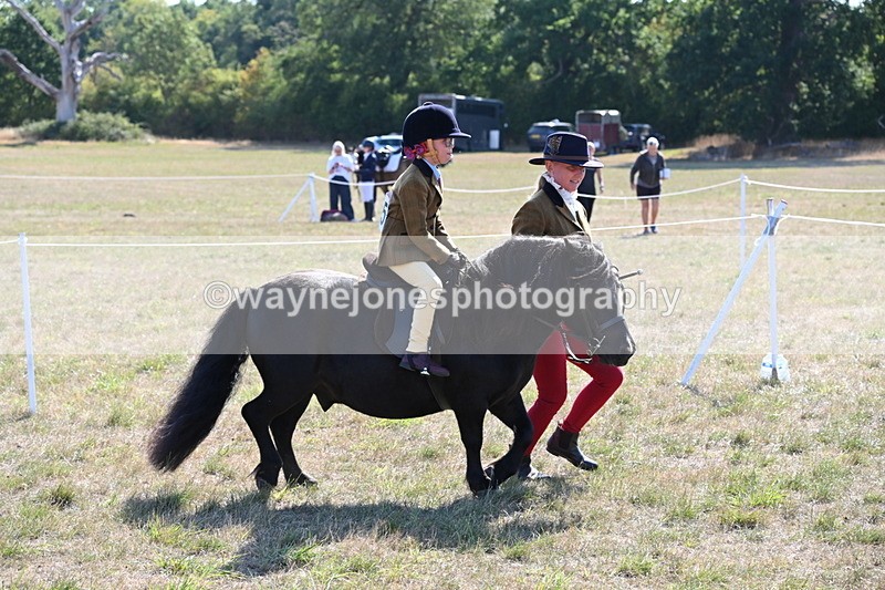 WJ6_7445 - Class 34 Judges Choice