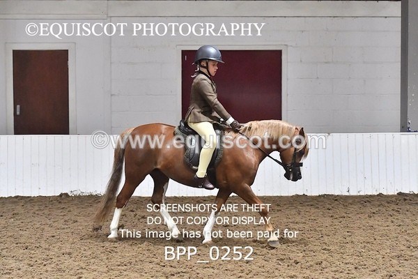 BPP_0252 - RING 1