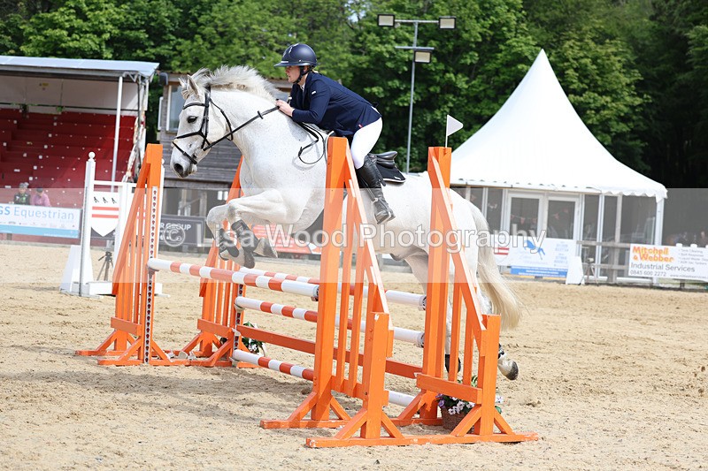 3E7A8835 - Class 4: Senior British Novice/90cm open