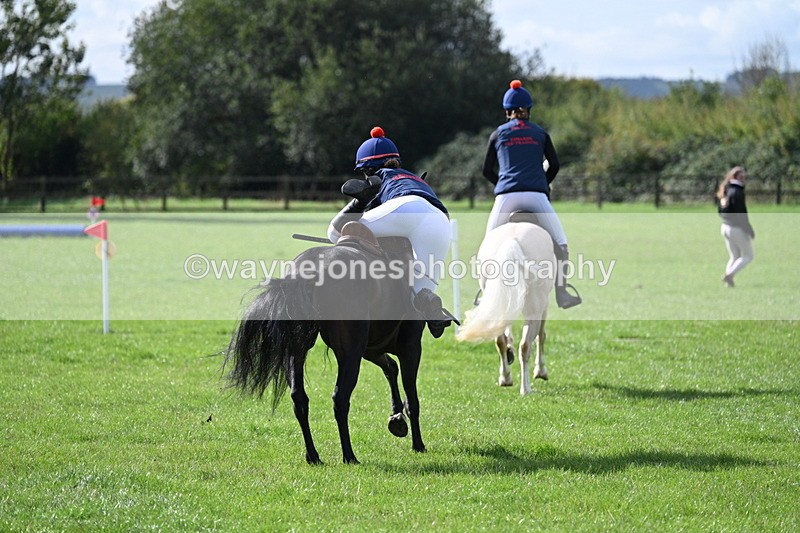 WJ7_8511 - 60cm Pairs