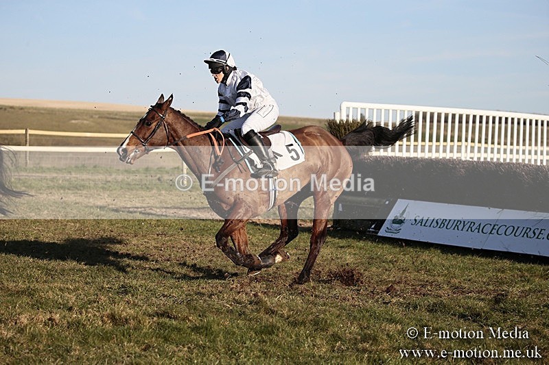 PtP 240218 711 - Vine & Craven Hunt Point-to-Point Barbury racecourse 24/02/18