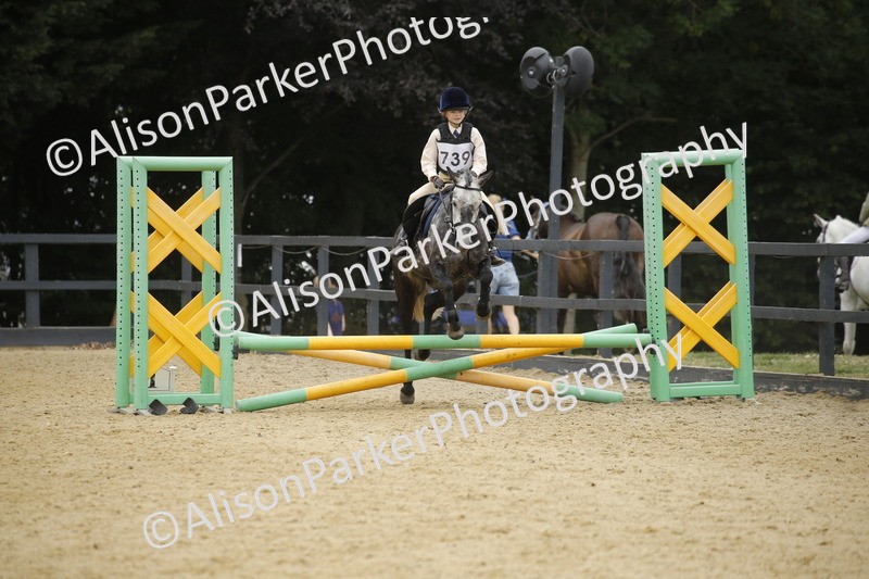 20250622-6202 - 60cm