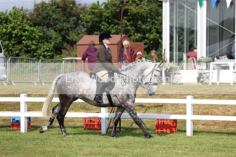 3E7A8816 - Class 3: Rising Star S/L Hunter