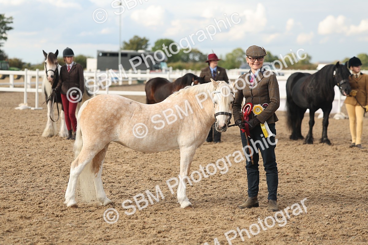 SBM_08587 - Class 29 - IH Veteran Pony