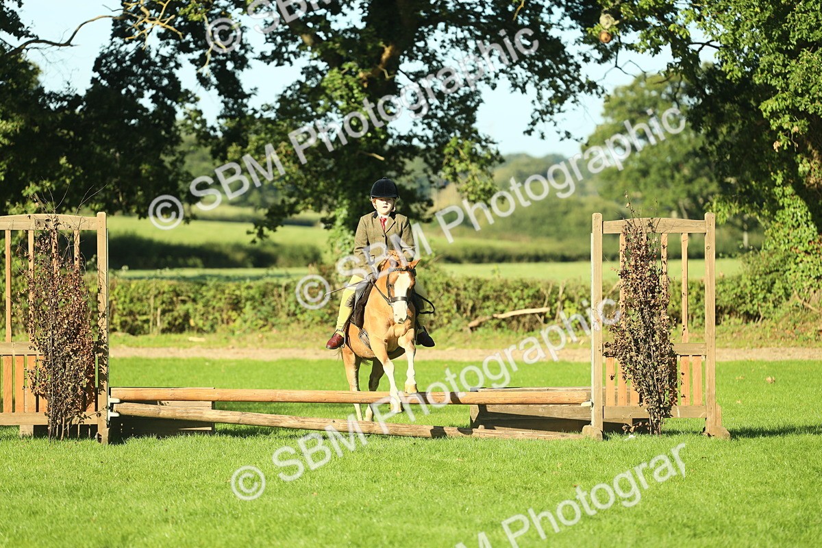 SBM_36336 - S29 - Novice & Newcomers Working Hunter Pony
