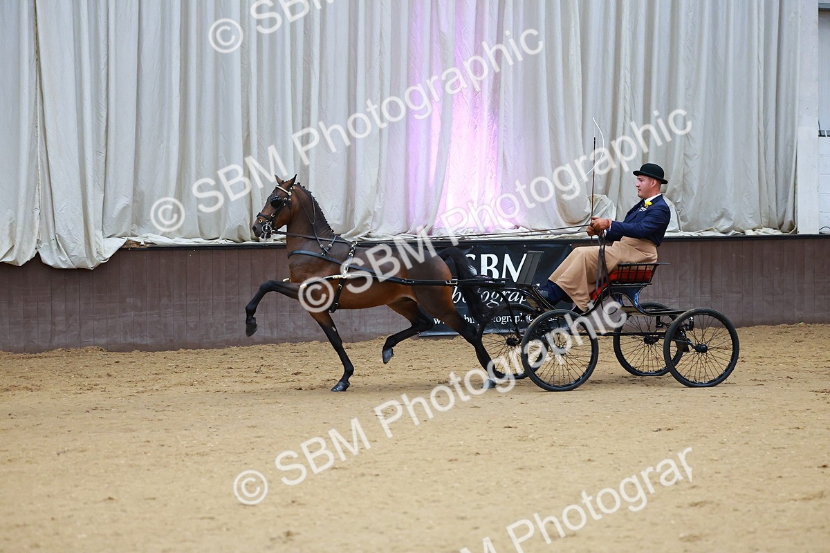 SBM_000635 - Class 9 - HHS Championship Intl Hackney Pony to a Showwagon