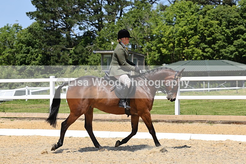 1X9A1798 - Class 12: Ridden Riding Horse/Hack