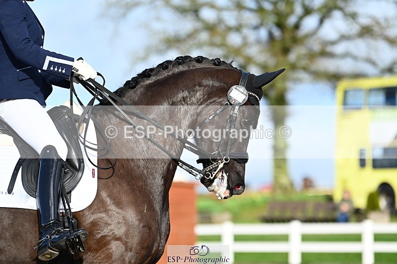 240218A-145118-08935 - 280-Nicola.Buchanan-ST.GILES.DARK.MAGIC