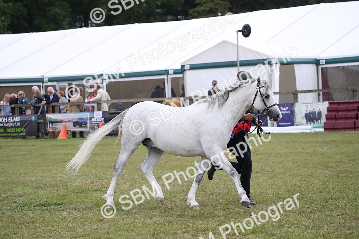 SBM_09864 - Ch 50 - Price Family Supreme In Hand