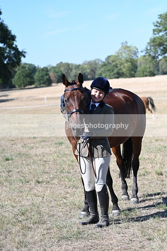WJ7_1880 - Class 43 Best Six Legs (In hand)
