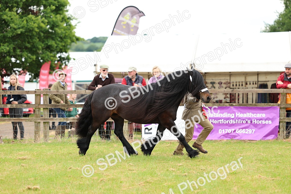 SBM_00582 - Class 58-67 - M&M Non Welsh Pony In hand