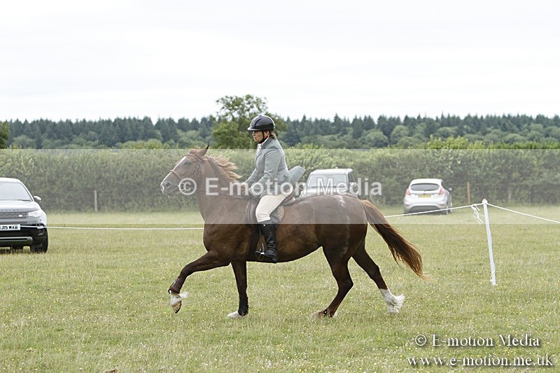 BVR160717-965 - Ring 3 BVRC Show 16/07/17