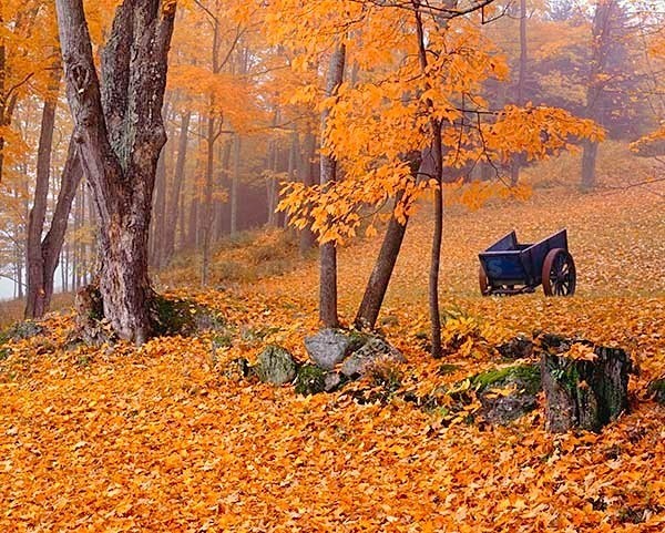 Istock #17474113 - New England Images