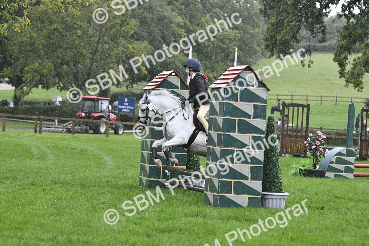 SBM_37122 - S31 - Novice & Newcomer Working Hunter Pony