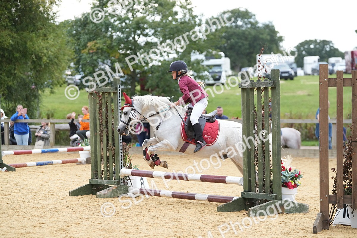 SBM_74610 - J4 - Mini Tour Junior Pony 45cm Championship