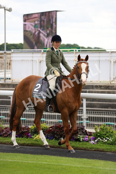 yr22052022r8e-104 - ROR - Parade Ring York