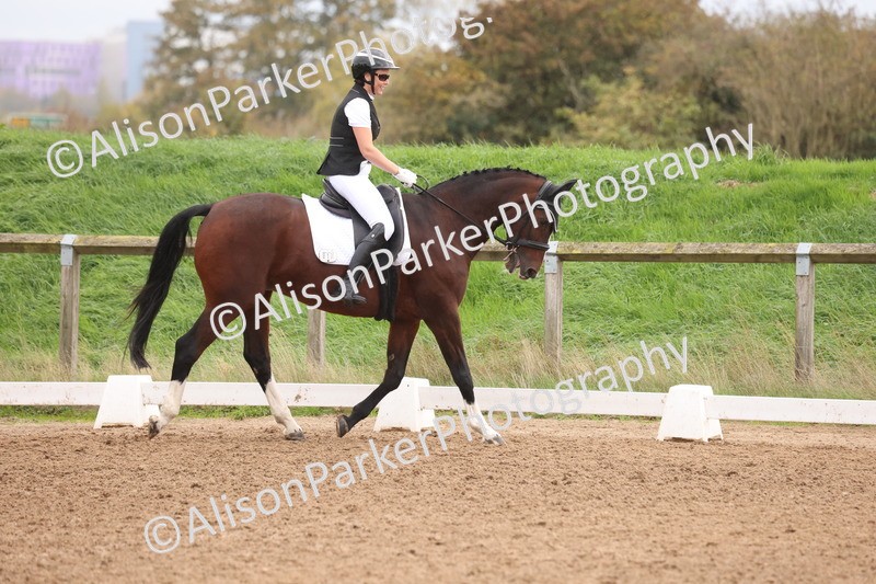 20251021-0597 - Class 7 - Elementary 1