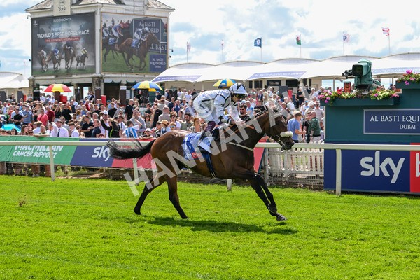 140625-Race 3-Al Qareem-2500 - Race 3 3.00pm Sky Bet Race To The Ebor Grand Cup Stakes