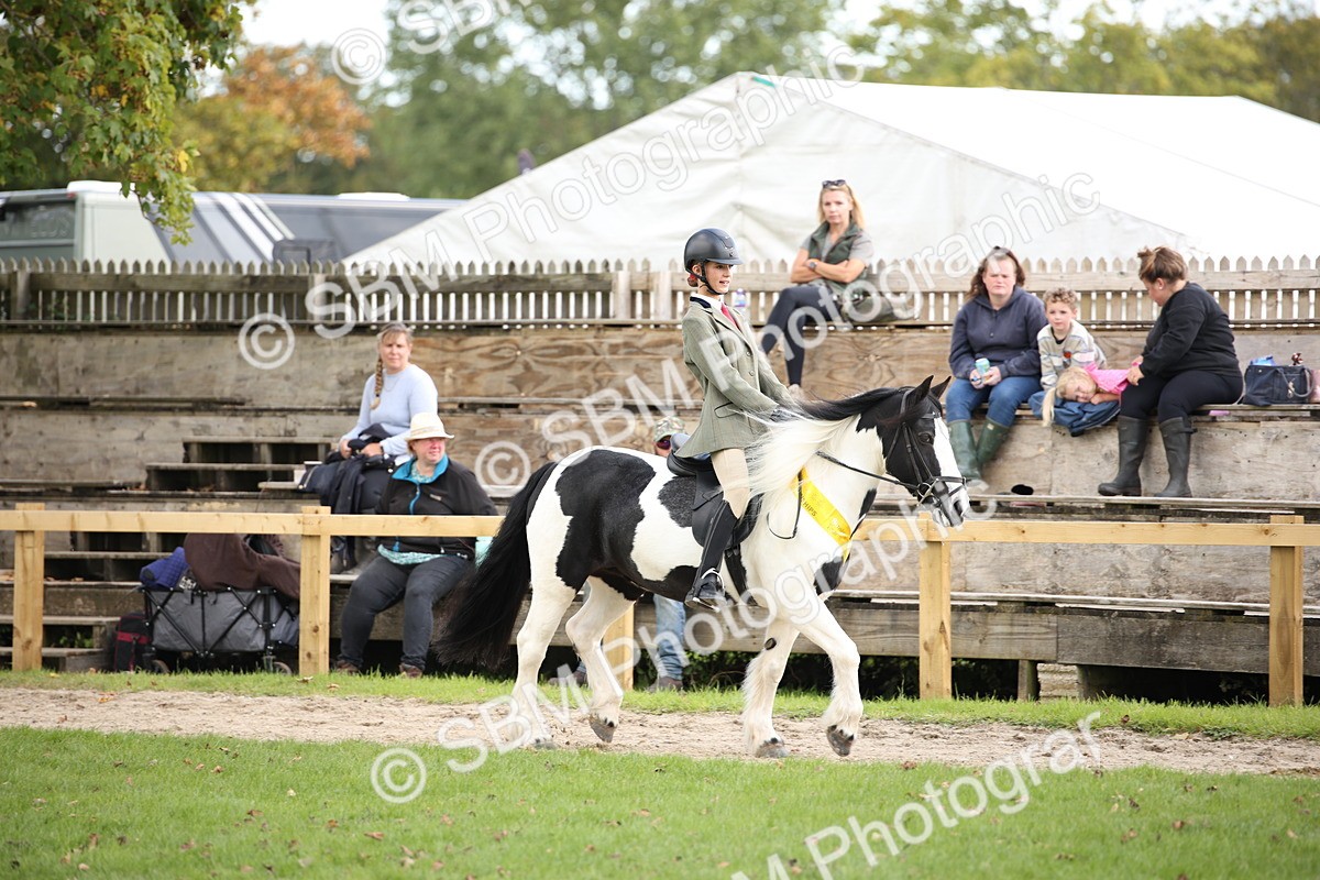SBM_40904 - Fun Showing Supreme Championship