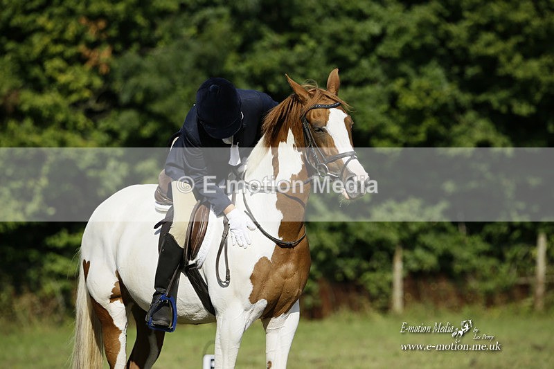 BVRC 120921 182 - Bourne Valley Riding Club UA Dressage & Show Jumping 12/09/21