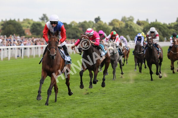 yr19082022r5-23 - Race 5 4.10pm Assured Data Protection EBF Fillies' Stakes