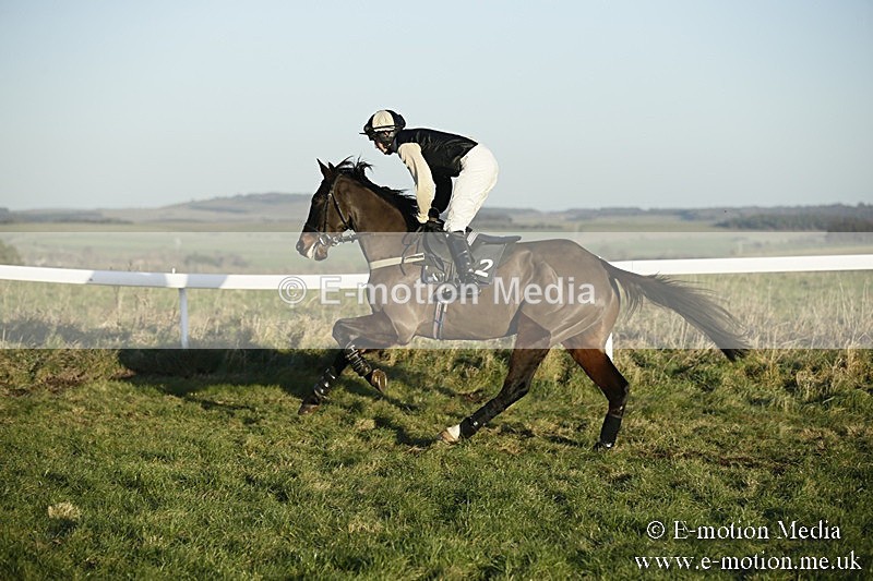 PtP 070118 -676 - Larkhill Racing Club Point to Point Larkhill 07/01/2018