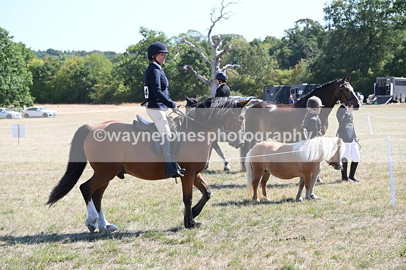 WJ6_8237 - Class 37a Best Loan Pony Ridden