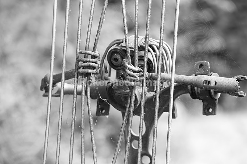  - Elemental Sculpture Park