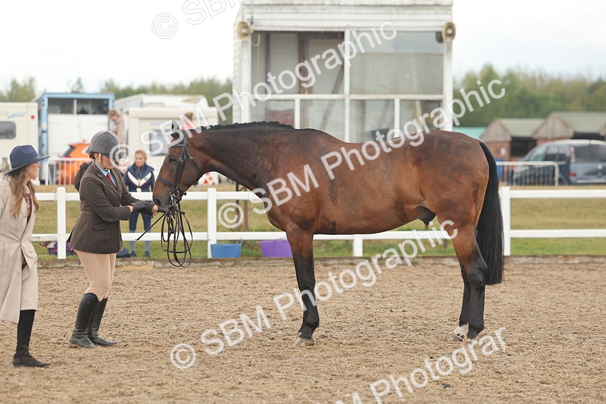 SBM_07882 - Class 28 - IH Veteran Horse